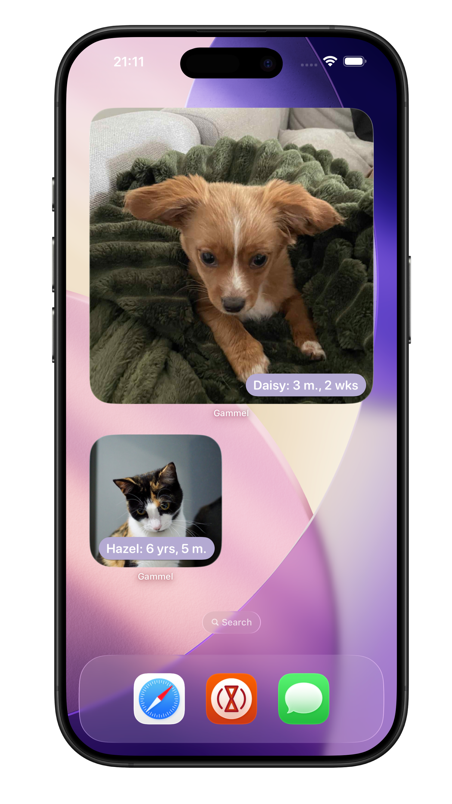 Gammel additional widgets