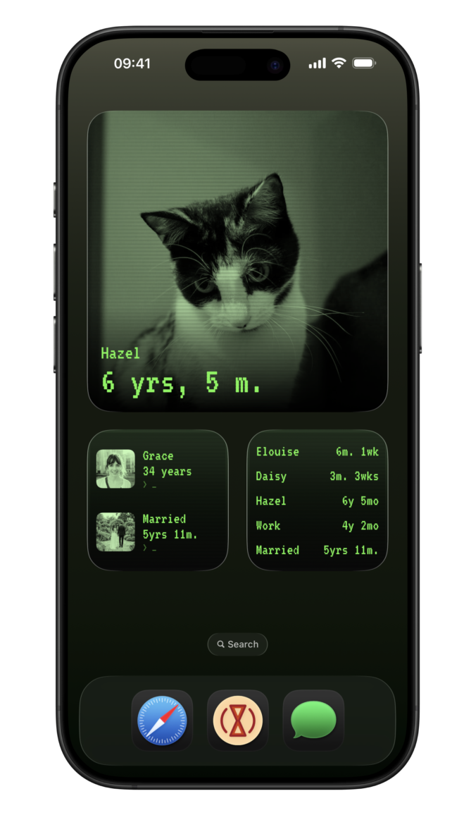 Terminal-style widget theme