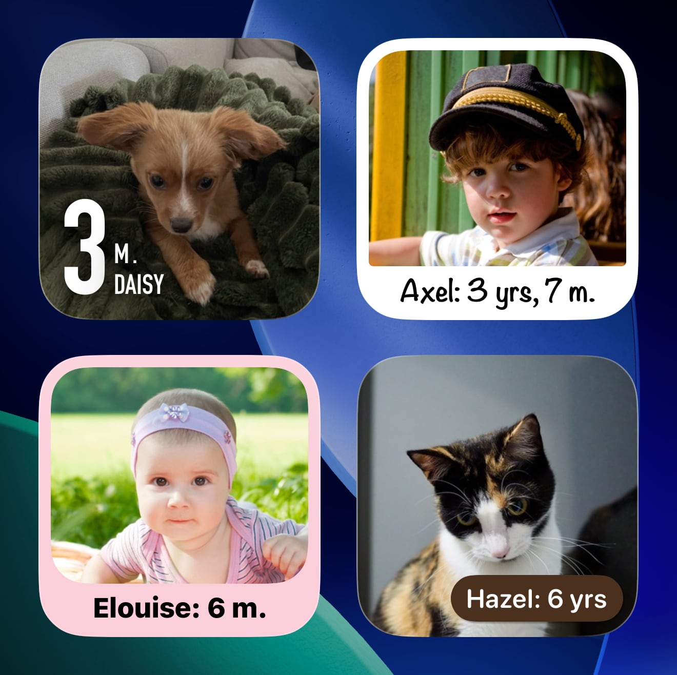 Four Photo widgets showing a puppy, child, baby, and cat