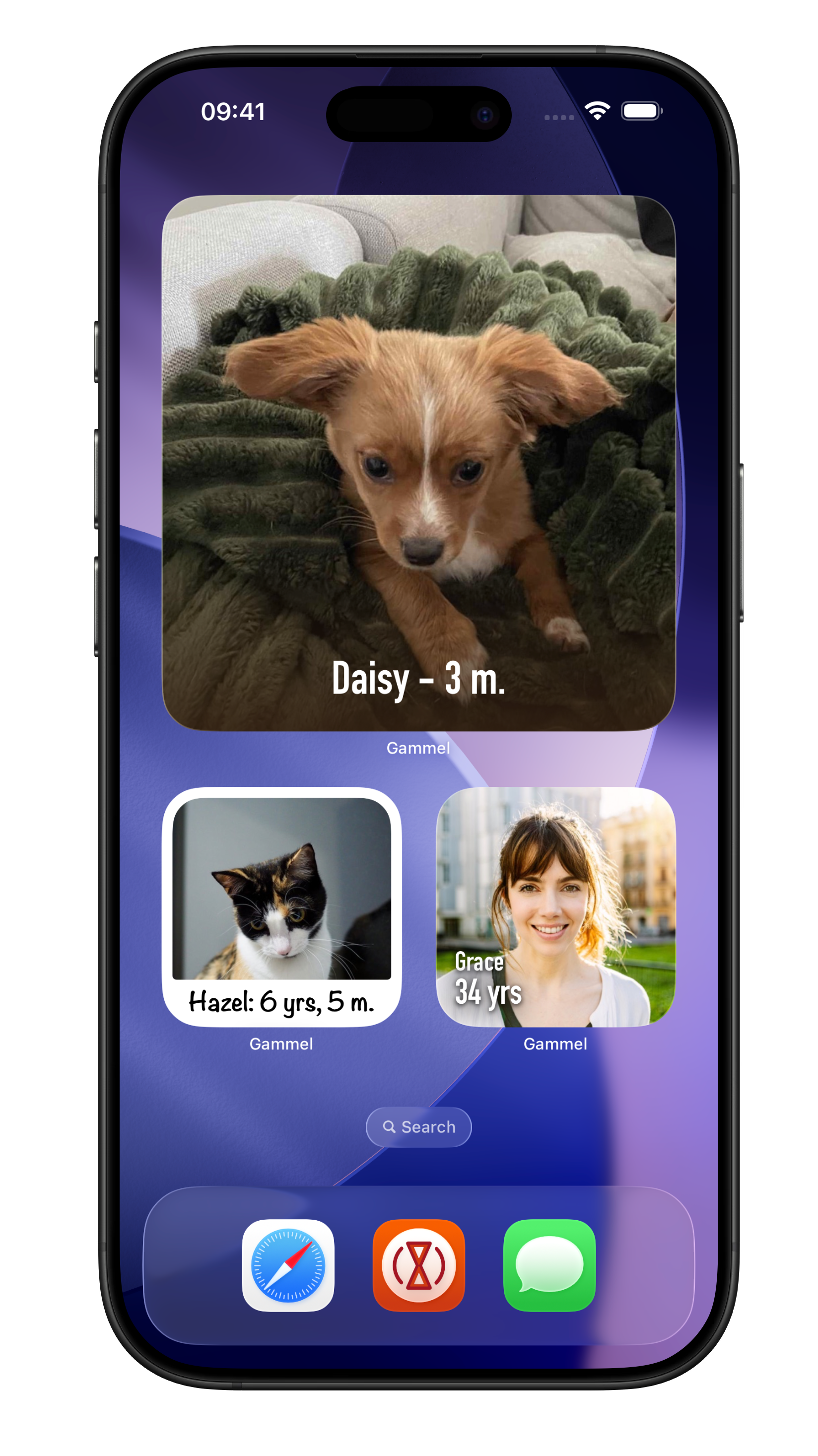 Gammel additional widgets